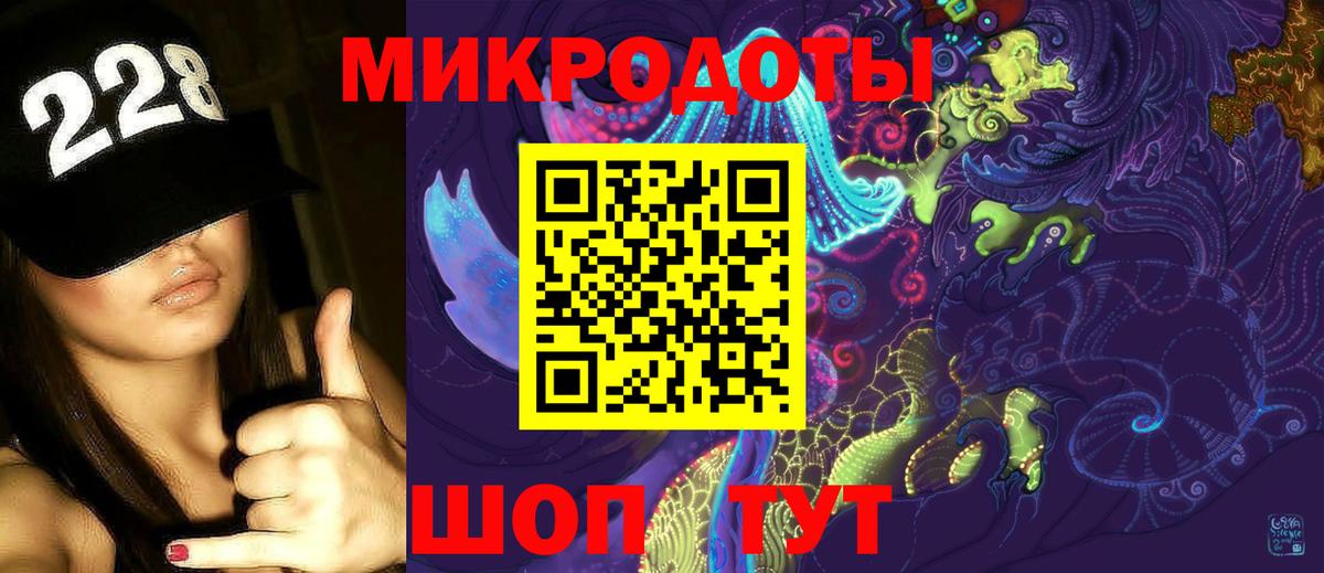 Псилоцибиновые грибы Cubensis Аксай